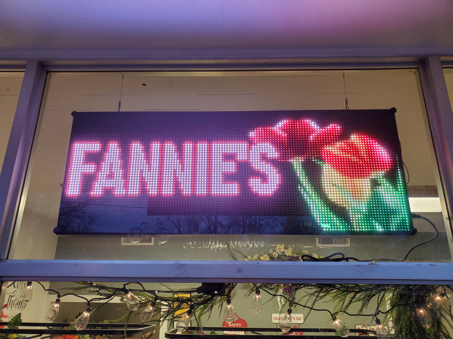 20x52 Programable LED Window Sign