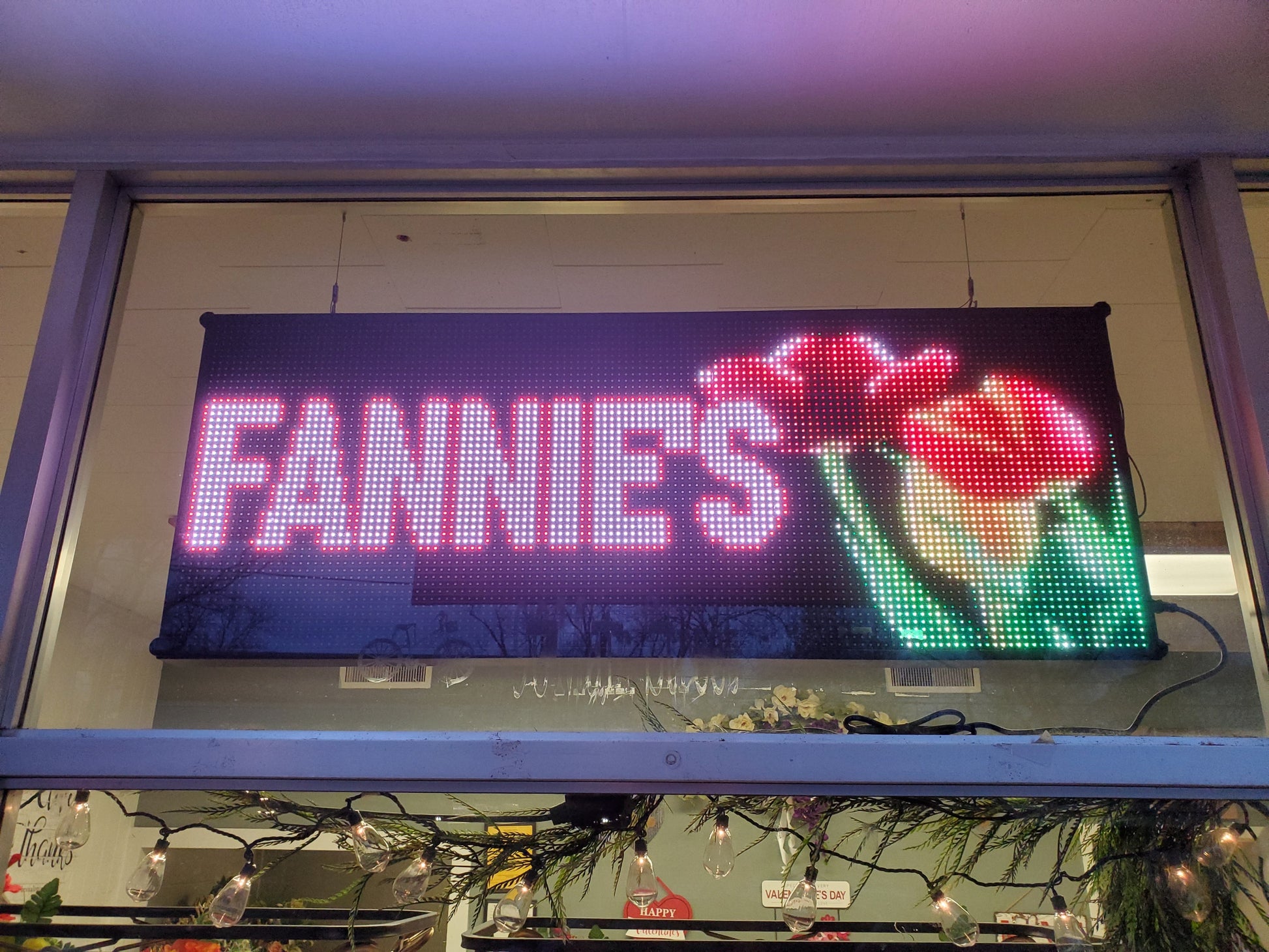 20x52 Programable LED Window Sign